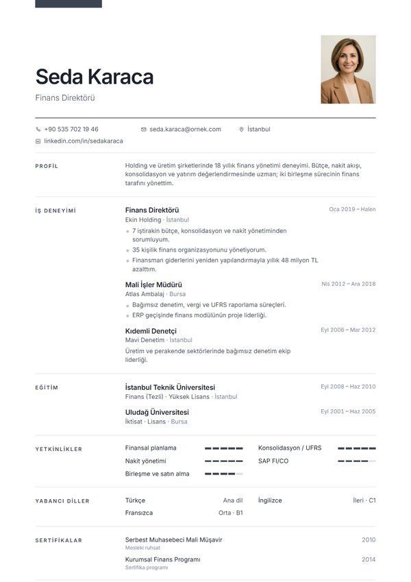 Mimar CV şablonu ön izlemesi